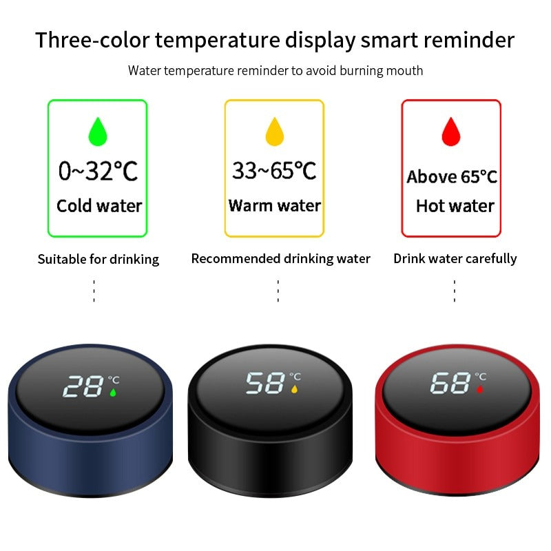 Smart Water Bottle with LED Temperature Display (500ml)